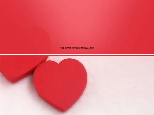 护理安全隐患与防护措施 ppt课件