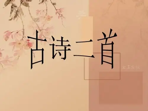 古诗二首