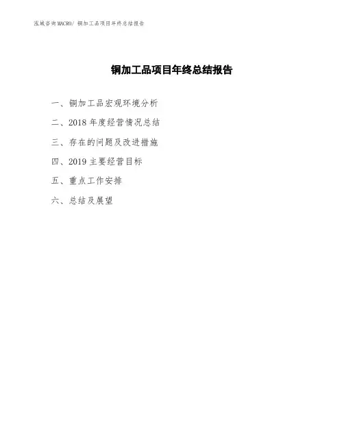 铜加工品项目年终总结报告