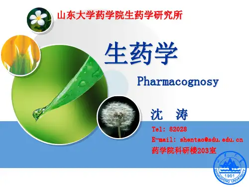 生药学 绪论 第一章
