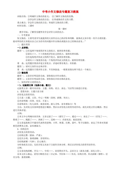 中考语文 作文修改专题复习教案 人教新课标版