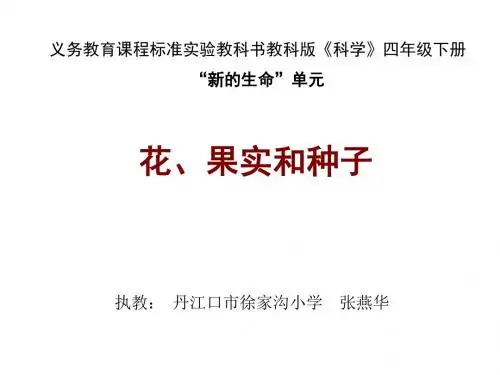 小学科学花、果实和种子