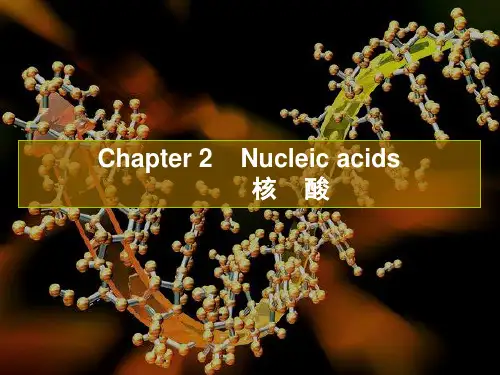 分子生物学第2章