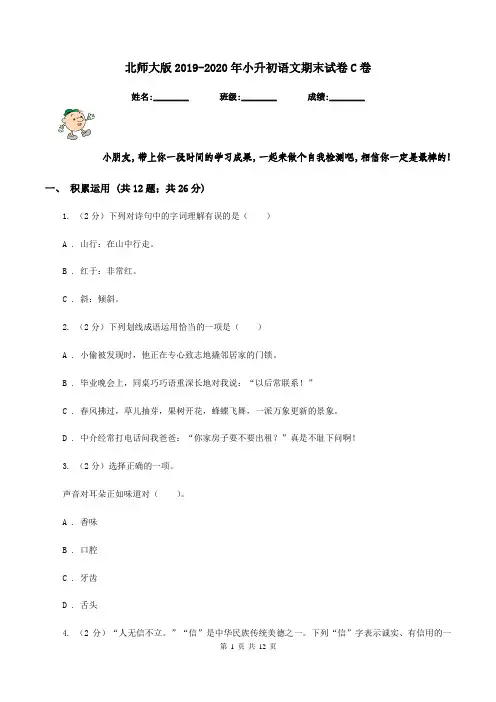 北师大版2019-2020年小升初语文期末试卷C卷
