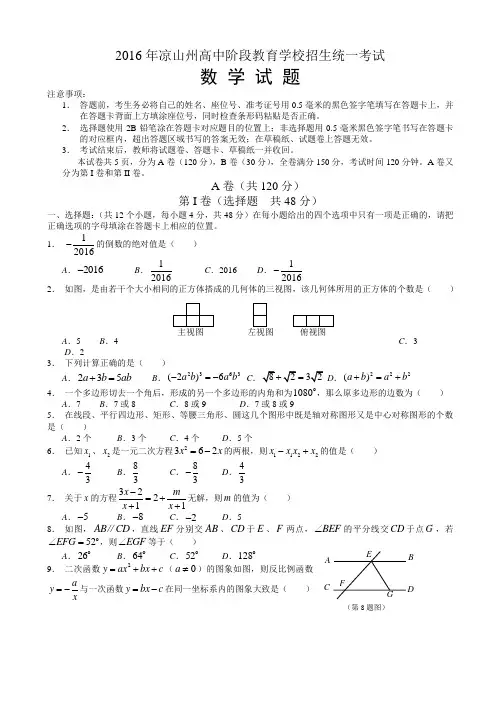 四川省凉山州2016年中考数学试题(有答案)