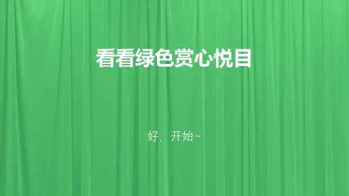 基坑设计与施工培训资料PPT(36张)