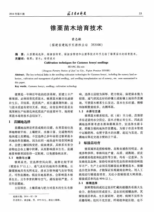 锥栗苗木培育技术
