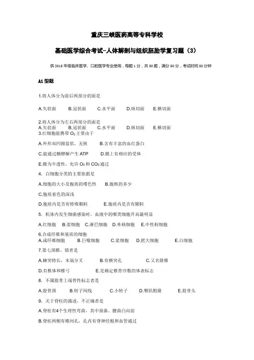 正常人体结构3