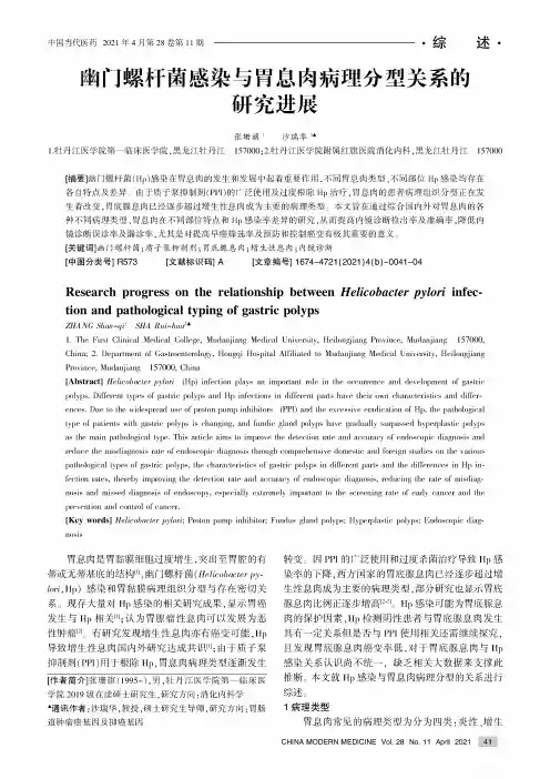 幽门螺杆菌感染与胃息肉病理分型关系的研究进展