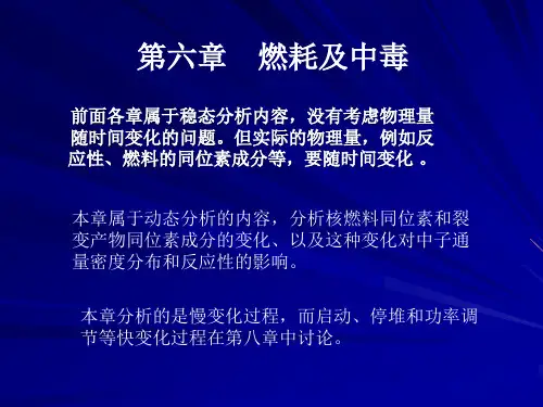 核反应堆物理基础第6章