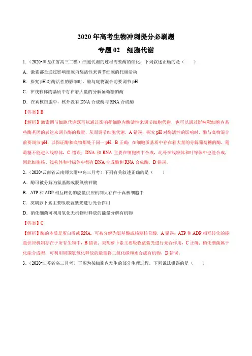 专题02 细胞代谢(解析版)