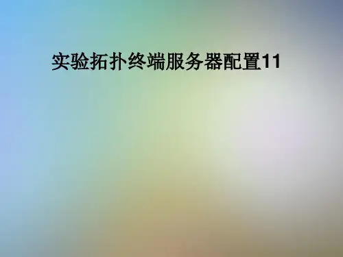 实验拓扑终端服务器配置11