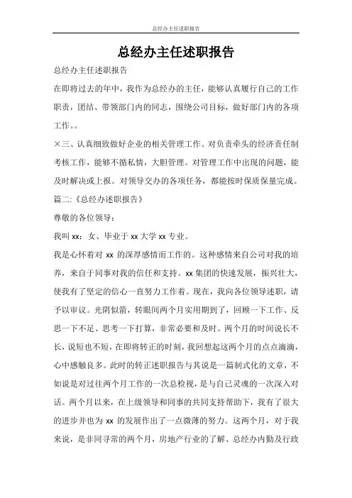 工作报告 总经办主任述职报告