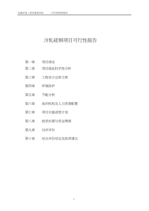 冷轧硅钢项目可行性报告