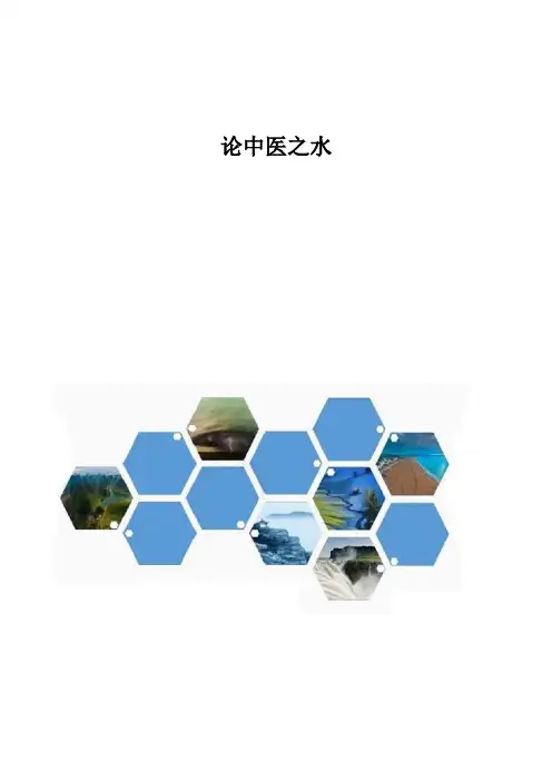 中医-论中医之水
