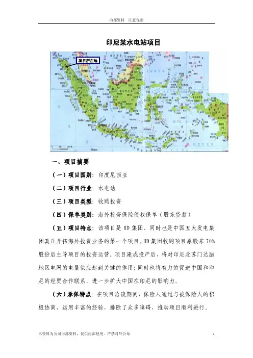 案例11-印尼某水电站项目