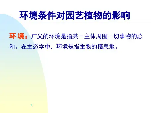 观赏在植物与花卉温度ppt课件