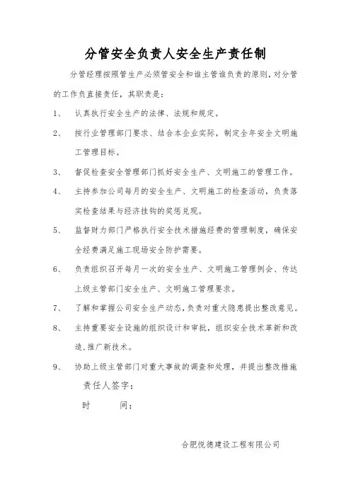 2分管安全负责人安全生产责任制