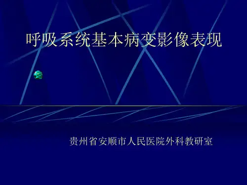 呼吸系统基本病变