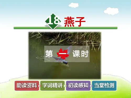 长春版五年级语文上册 18.燕子【第1课时】【新版】