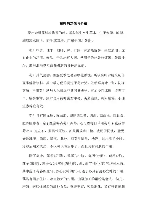 荷叶的价值与功效
