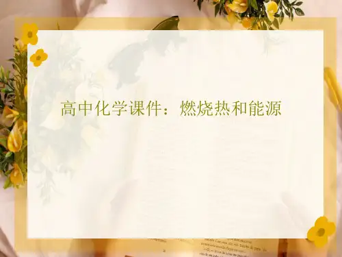 高中化学课件：燃烧热和能源共27页文档