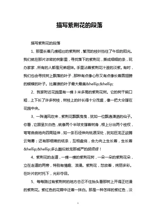 描写紫荆花的段落