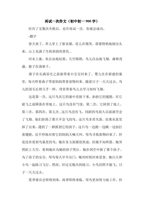 再试一次作文(初中初一900字).doc