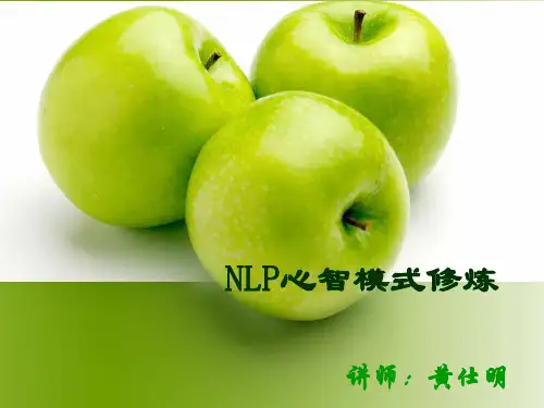 【Selected】NLP培训.ppt