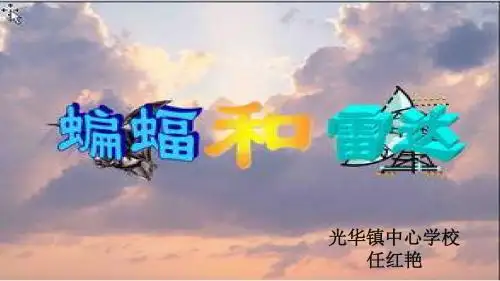蝙蝠和雷达