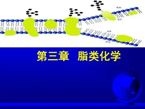 ch03 脂类化学.