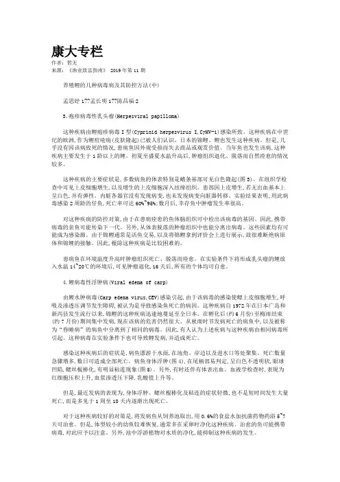 康大专栏