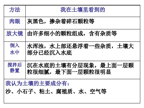 土壤中有什么