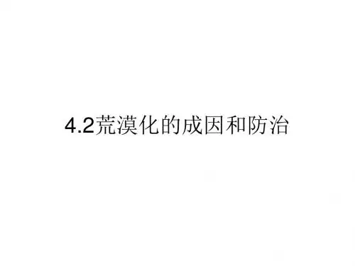 荒漠化的成因和防治 PPT课件 通用