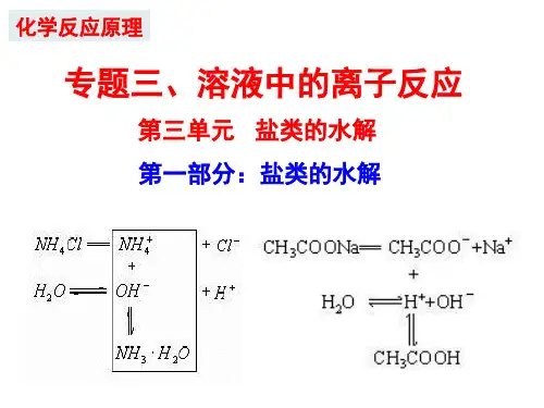 溶液中的离子反应