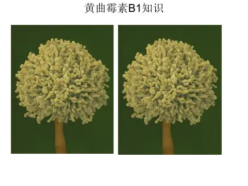 黄曲霉素b1