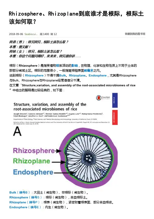 Rhizosphere、Rhizoplane到底谁才是根际,根际土该如何取？