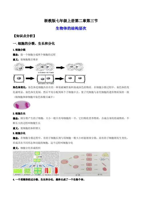2.3生物体的结构层次(讲义)2