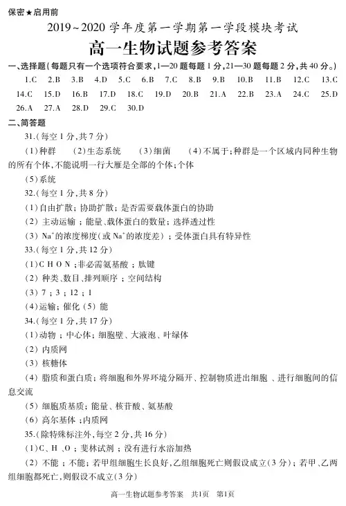 山东省滕州市2019-2020学年高一上学期期中考试生物答案