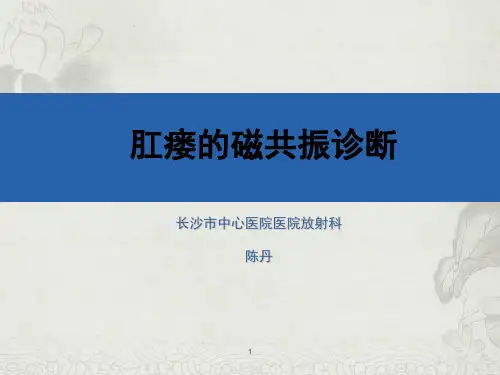 肛瘘的MRI诊断ppt课件