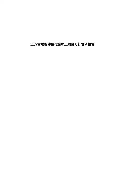 玫瑰种植与深加工项目可行性研报告