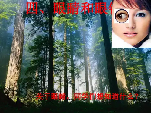 新人教版八年级物理上册课件:5-4 眼睛和眼镜
