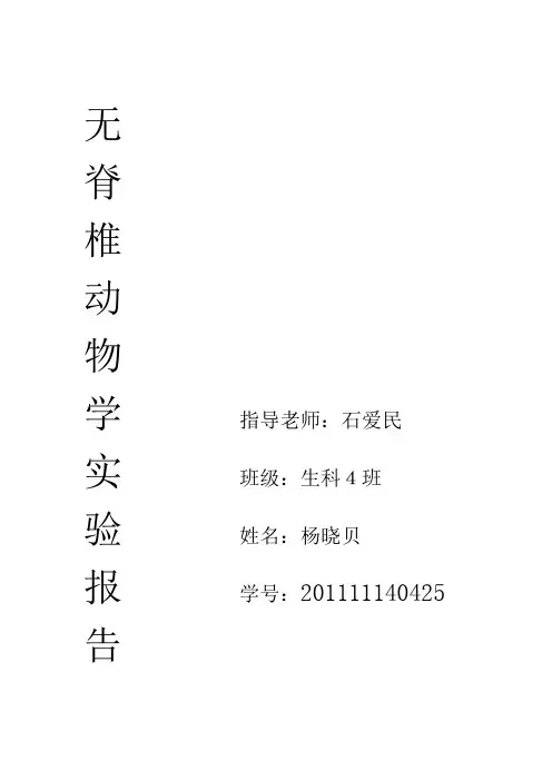 无脊椎动物学实习报告