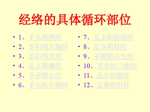 经络具体走向