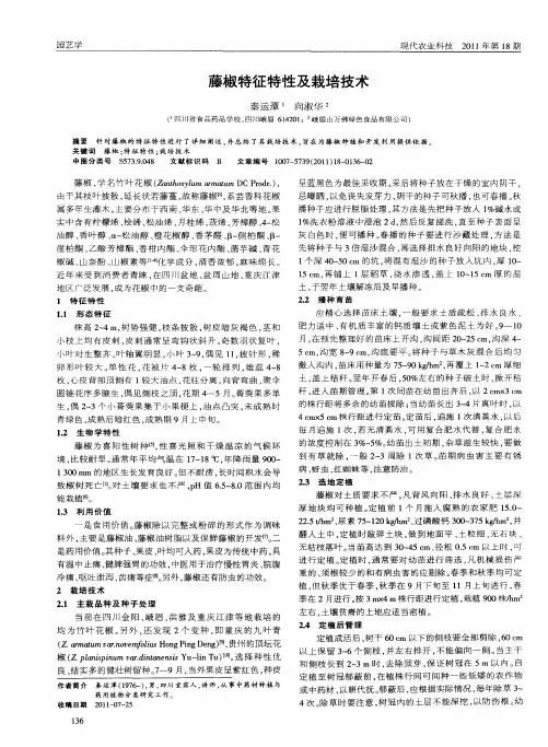 藤椒特征特性及栽培技术