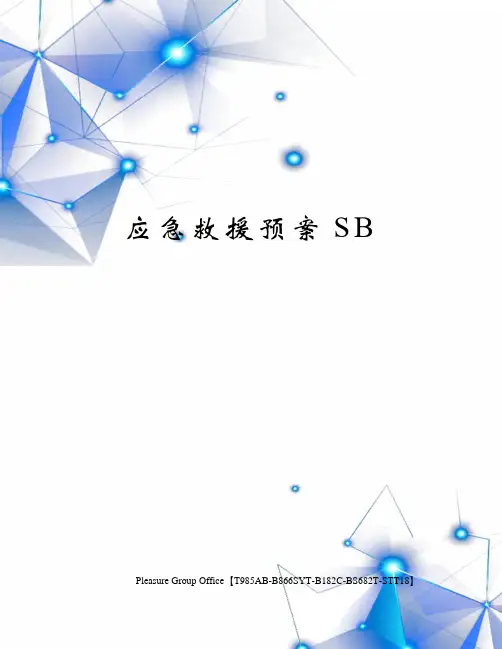 应急救援预案SB