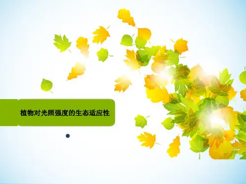 植物对光照强度的适应性
