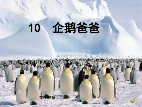 小学语文课件-10企鹅爸爸3.ppt