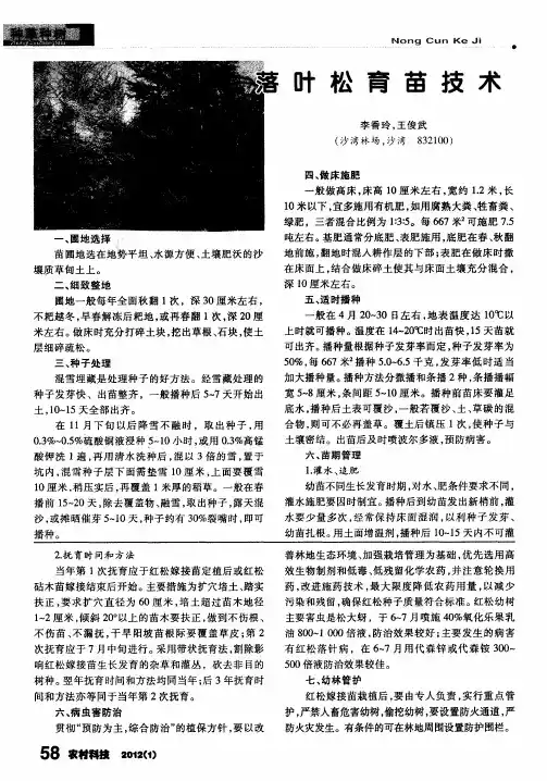 落叶松育苗技术