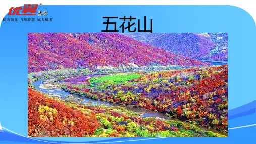 新S版小学语文3上教学课件-10.五花山